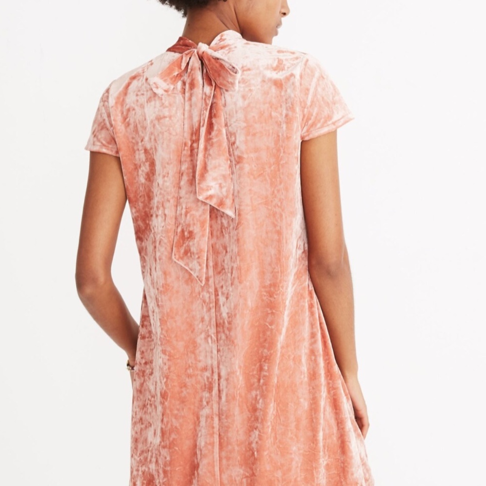 Pink Crushed Velvet Mockneck Madewell Dress